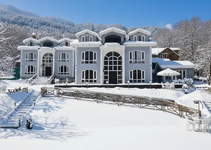Forest Hill Resorts