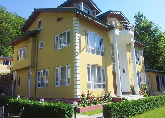 Forest Hill Resorts